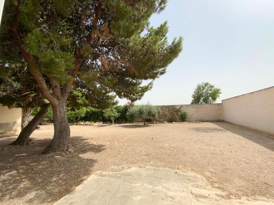 Finca i Torre Pacheco, Murcia - foto 5